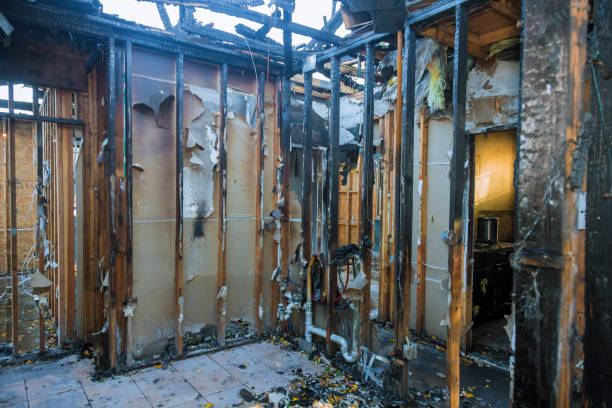Professional Fire Damage Removal technician working in Lake Hallie, WI